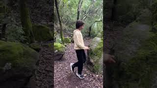 Road to Akchour 6 travel morocco akchour hike nature explore shorts viralvideo family [upl. by Nomead]