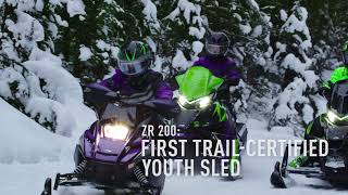 Arctic Cat 2019 Youth ZR200 Snowmobiles [upl. by Carmita485]