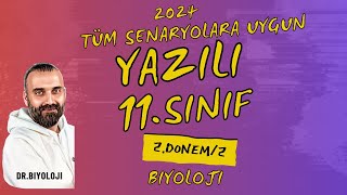 11Sınıf Biyoloji 2Dönem 2Yazılı  Senaryo Odaklı  PDF  20232024 [upl. by Zena967]