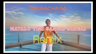 Timi Nacha Na REMIX [upl. by Chon934]