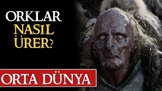 ORKLAR NASIL ÜRER Orta Dünya  Yüzüklerin Efendisi [upl. by Rosabel]