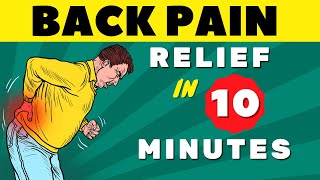 Lower Back Pain  Everything You Need to Know  Lower Back Pain Exercises quotFAST RELIEFquot [upl. by Lusar]