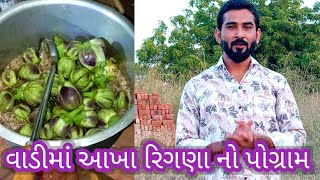 વાડીમાં આખા રિગણા નો પોગ્રામ  aakha ringna ni palty  aakha ringan nu shaak  village rasoi [upl. by Duncan]