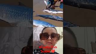 food fishing fish seafood ocean fishscale costly viralshorts trandingshorts [upl. by Orva911]