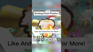 Getting The Petal Planter shortvideo shorts bss roblox gaming [upl. by Bunde]