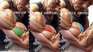 5 BEST BICEPS WORKOUT AT GYM TO GET BIGGER ARMS FAST [upl. by Tubb]