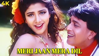 Meri Jaan Mera Dil ❤ Daanveer  Udit Narayan Sadhana Sargam  Mithun Chakraborty Rambha [upl. by Liw]