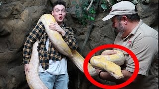 Holding a 20 FOOT SNAKE [upl. by Elison]