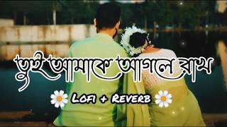 Tui Amake agle rakh  তুই আমকে আগলে রাখ  Slowed Reverb  Bengali Lofi  RGBangali Song [upl. by Sirrot]