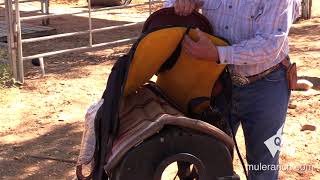 The Canyon Rider Pro Saddle for Mules and Donkeys [upl. by Leta]