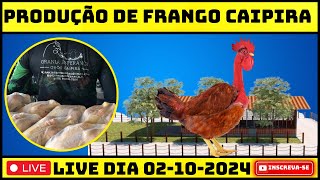 COMO INICIAR A SUA PRODUÇÃO DE FRANGO CAIPIRA [upl. by Terrijo151]