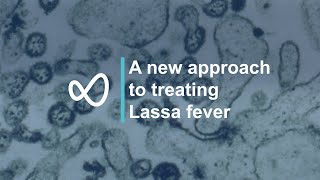 A new approach to treating Lassa fever [upl. by Danieu]