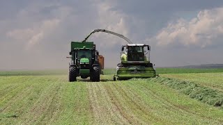 Luzerne hakselen en kuilen in Canada  AgriTraderTV 54 [upl. by Justino192]