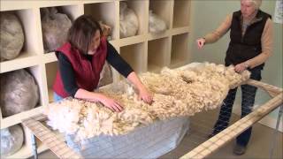 How to Skirt an Alpaca Fleece [upl. by Hamforrd]