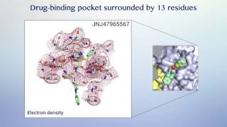 Structural basis for subtypespecific inhibition of the P2X7 receptor [upl. by Nightingale]