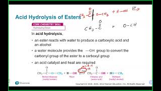 Chem 110 Lecture 51023 Ch 14 and Ch 13 [upl. by Fausta74]