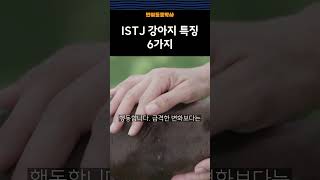 ISTJ 강아지 6가지 특징ㅋㅋㅋ [upl. by Sherill436]