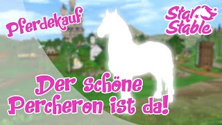 Star Stable SSO Percheron Pferdekaufaber welches [upl. by Ylerebmik]