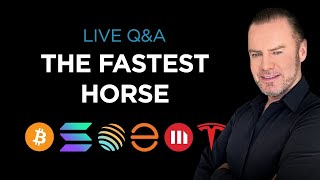 🏇How to identify the fastest horses 🏆 [upl. by Eelirrem618]