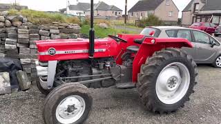 MASSEY FERGUSON 135 TRACTOR  RESTORED [upl. by Adlev]