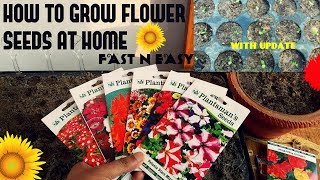 How To Grow Flower Seeds Fast With Update [upl. by Dido838]