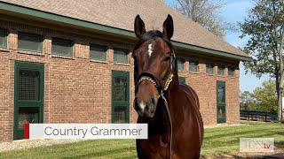 Two Phils and Country Grammer join WinStars Stallion Barn [upl. by Nagem]