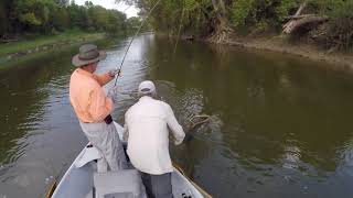 Fly fishing the Saugeen River Ontario [upl. by Dripps]