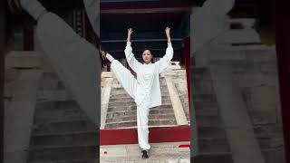 taichiclass chineseculture kungfu taichi chinesemartialarts taichichina [upl. by Ettennaj759]