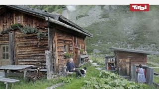 Leben auf der Alm  Almhütten in Tirol Österreich 🐮 [upl. by Apple]