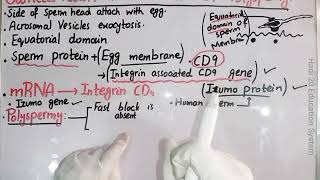 Gamete Fusion And Prevention Of Polyspermy  Ch 4  Lec No 16  Developmental Biology  BS Zoology [upl. by Akinot750]