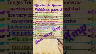 Microbes in Human Welfare Class 12 NCERT Part 5  Line by Line NEET 2024 [upl. by Adnilre]