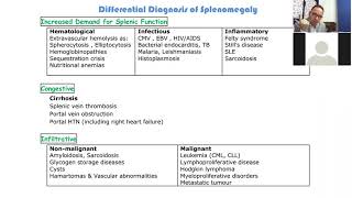 Hematology 14a  Lymphadenopathy splenomegaly and hypersplenism [upl. by Jerrine]