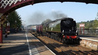 Tragic Tangmere in Trouble Today 21 09 24 [upl. by Custer99]