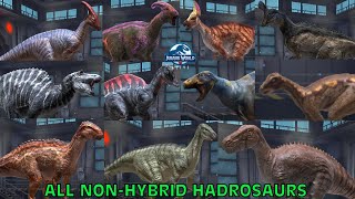 All NonHybrid Hadrosaurs  Jurassic World Alive [upl. by Pollock232]