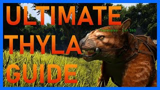 How to tame a thylacoleo Ark 2023 [upl. by Noillid]