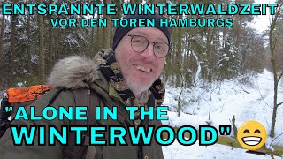 Alone in the Winterwood   Entspannte Winderwaldzeit vor den Toren Hamburgs  4K [upl. by Eiuol]