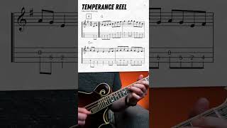 quotTemperance Reelquot Mandolin Lesson shorts [upl. by Beora]