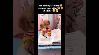 Exam status 🤣🙆‍♂️🥵 Exam sothanaigal  Exam preparation at night😅🥵 exam exampreparation exams [upl. by Laraine226]