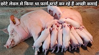 सूअर पालन कैसे करें Pig Farming kesa kra Pig Farm Design Pig Farming Structure kaise Banaen [upl. by Yensehc]