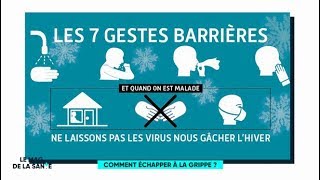 Grippe  comment léviter   Le Magazine de la santé [upl. by Savvas895]