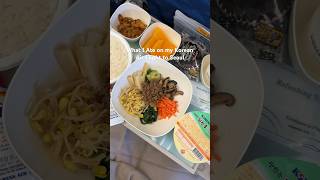 What I Ate on my Korean Air Flight to Seoul [upl. by Puttergill]