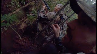 Guided bear hunts with dogs  BAYED UP [upl. by Lisan340]