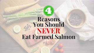 4 Reasons You Should Never Eat Farmed Salmon [upl. by Nnagem55]