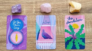 UNIVERSES NEXT BIG PLAN FOR YOU 🧭🕊️🌱 Pick A Card 🔮✨ Timeless Tarot Reading [upl. by Fonda]