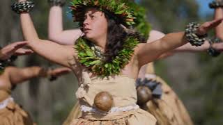 2021 Merrie Monarch Festival  Hālau o Kekuhi [upl. by Dodson]