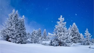 Beautiful Relaxing Music Peaceful Soothing Instrumental Music quotWinter Woodsquot by Tim Janis [upl. by Obaza248]