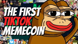 How TikTok Made Ponke a 400M Meme Coin [upl. by Lillian752]