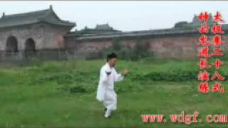 Wudang Taiji 28 shi [upl. by Neliac]