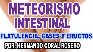 METEORISMO INTESTINAL  FLATULENCIA GASES Y ERUCTOS [upl. by Riane]