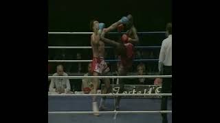 Ernesto Hoost high kick [upl. by Zandra]